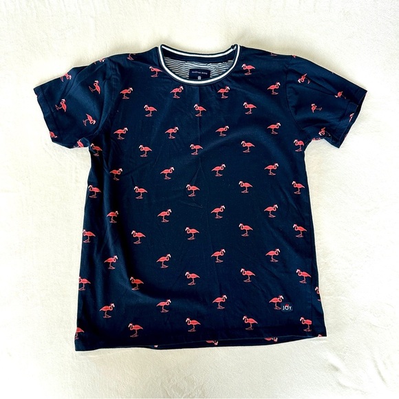 Cactus Boys Christmas Flamingo T-Shirt Navy Blue Size 11/12 Holiday Santa Hat - Picture 1 of 7